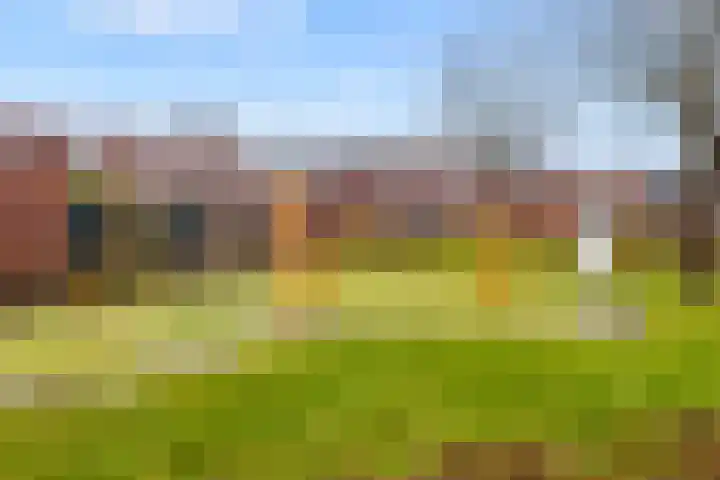Markt 18 Grave thumbnail 10