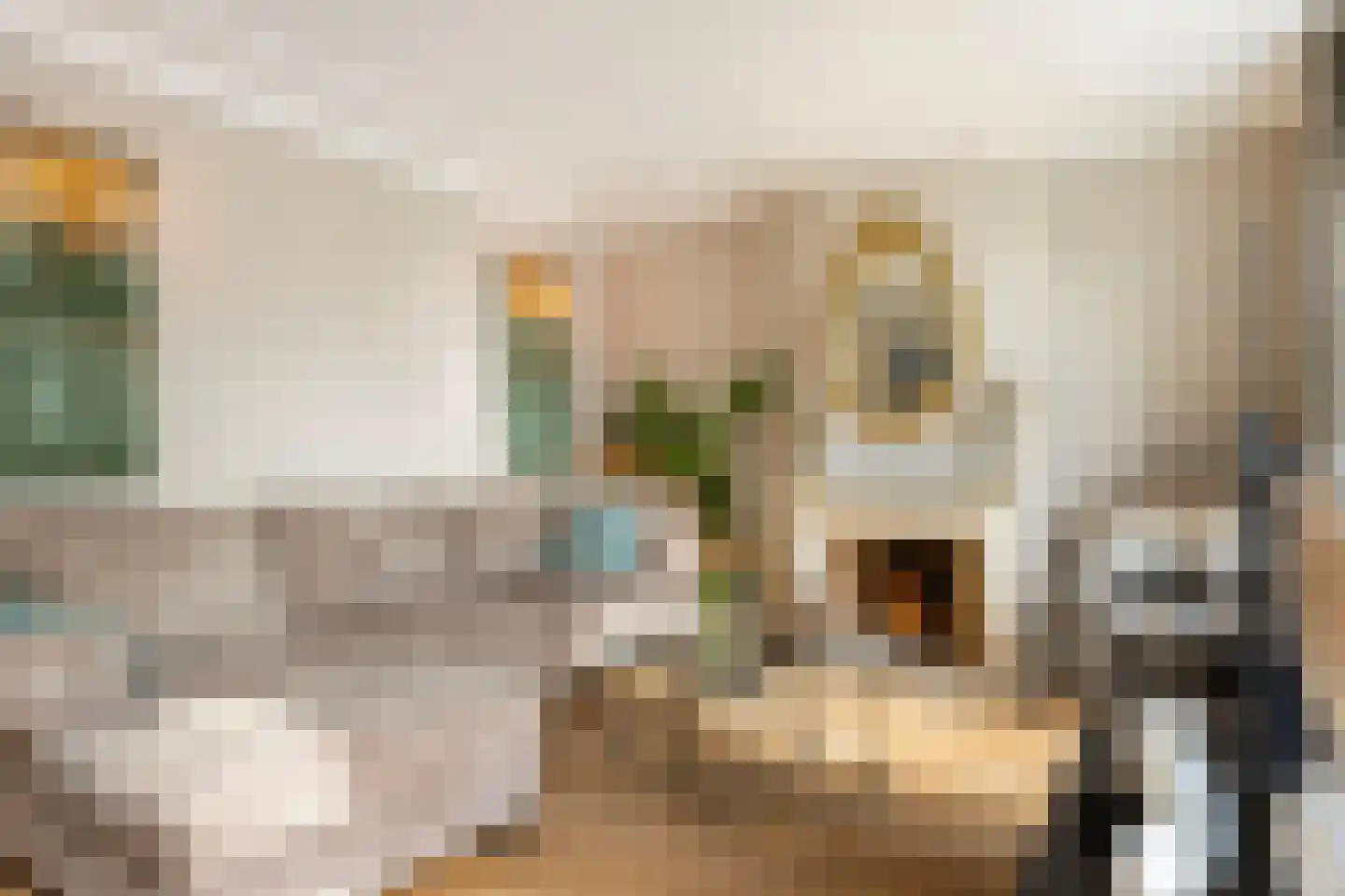 Markt 18 Grave thumbnail 15