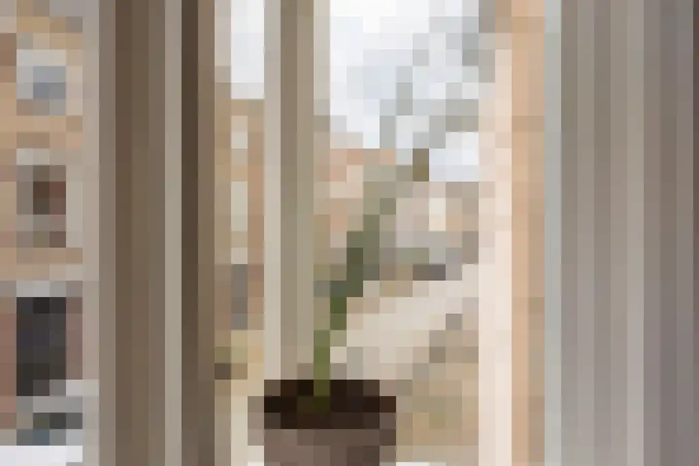 Markt 18 Grave thumbnail 20