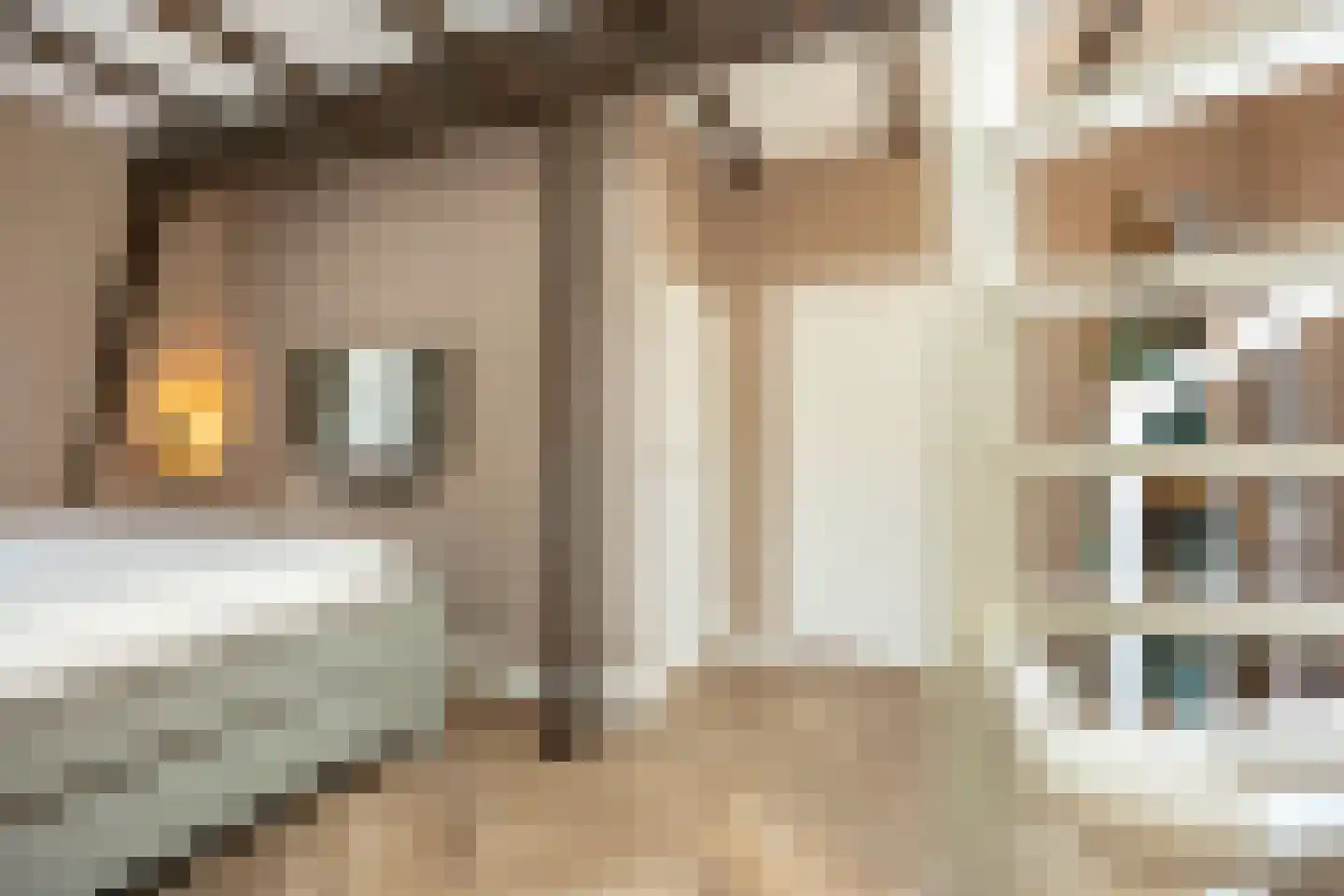 Markt 18 Grave thumbnail 24