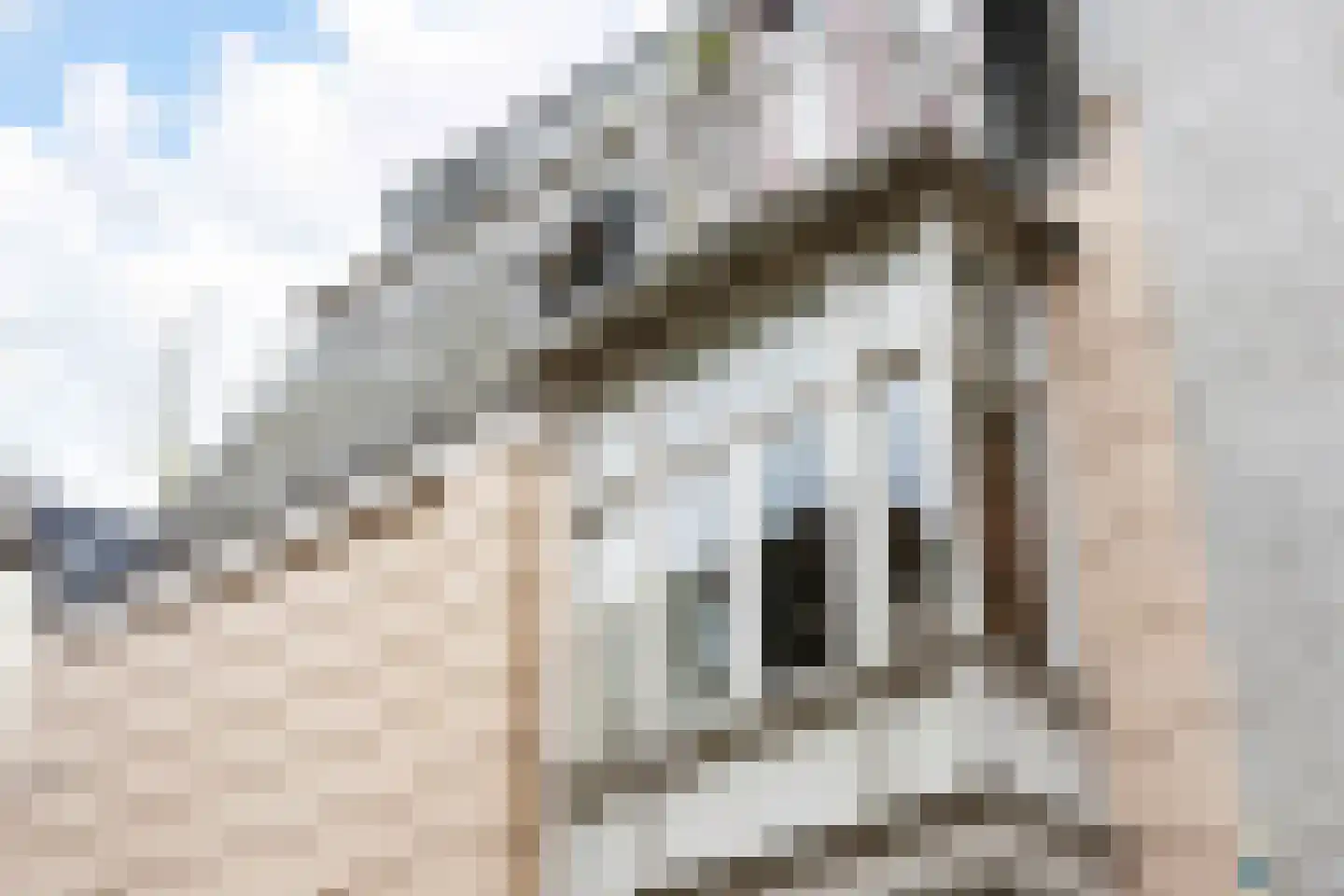 Markt 18 Grave thumbnail 38
