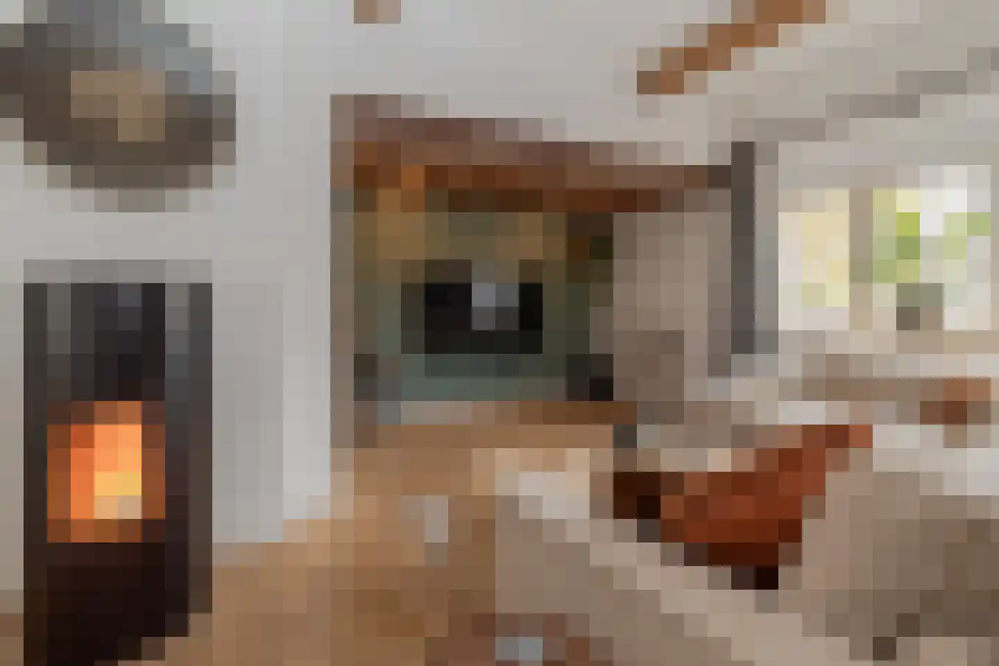 Markt 18 Nieuwstadt thumbnail 20