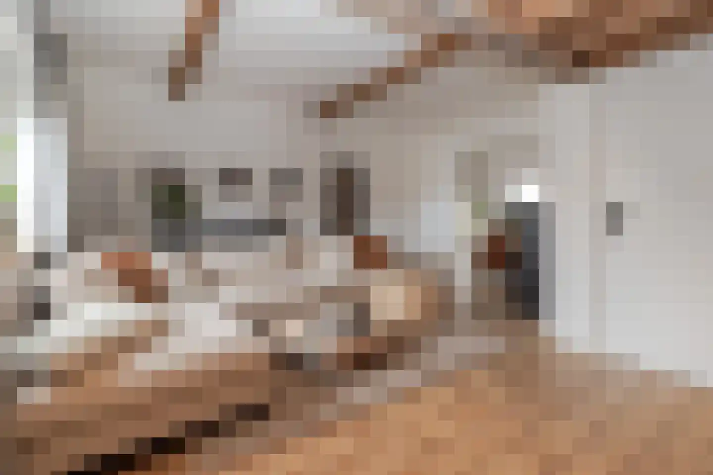 Markt 18 Nieuwstadt thumbnail 21