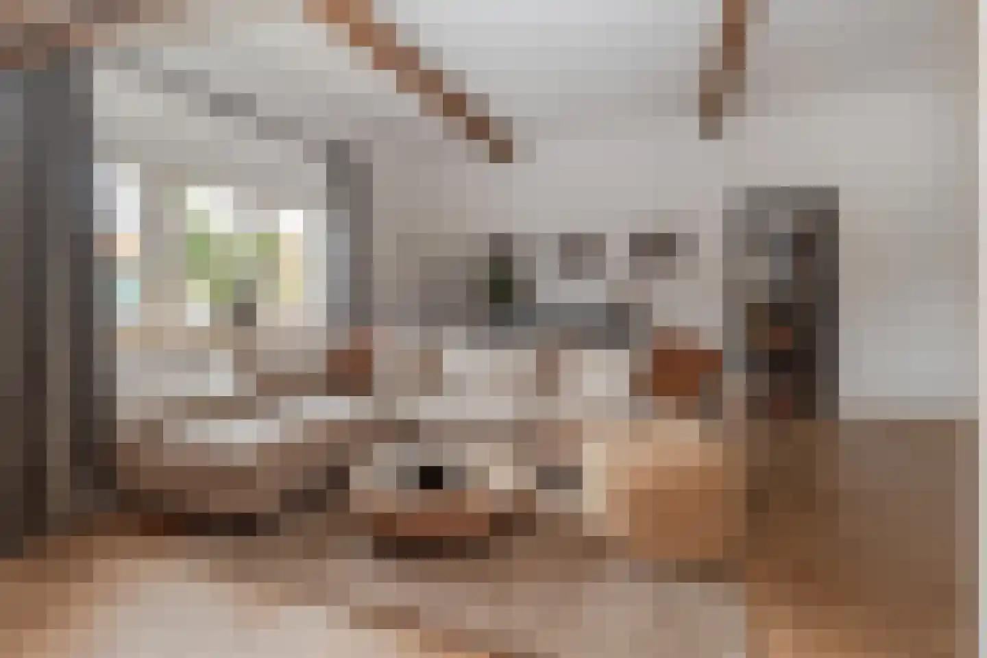 Markt 18 Nieuwstadt thumbnail 22