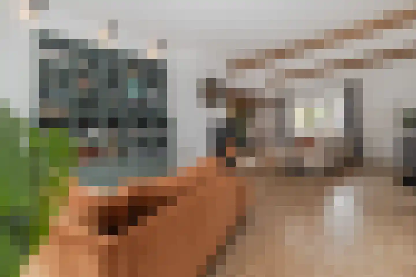 Markt 18 Nieuwstadt thumbnail 25