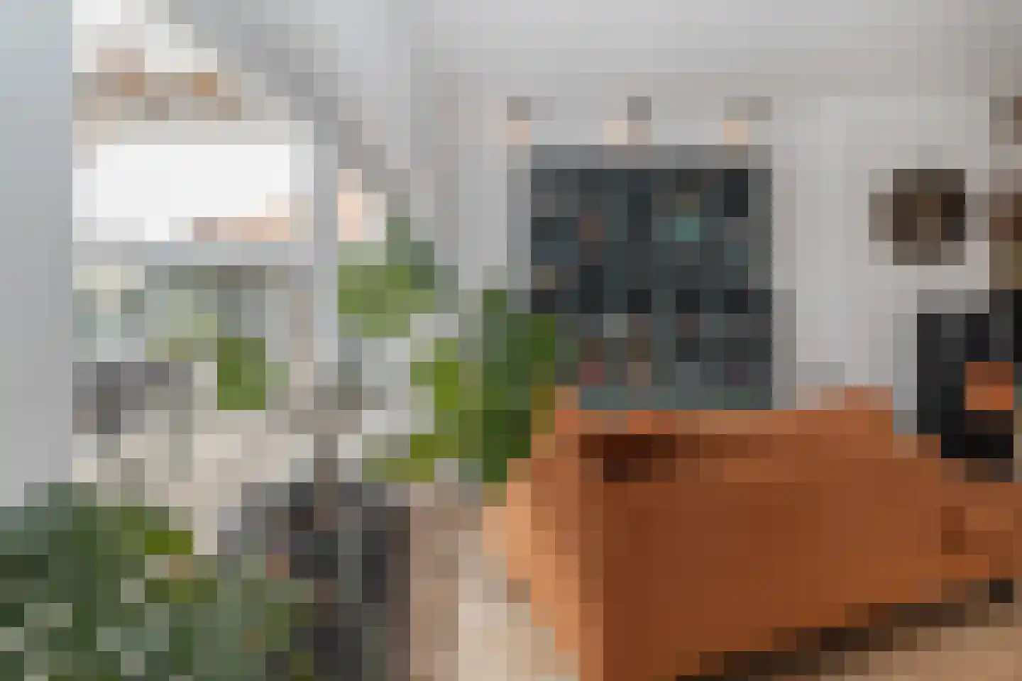 Markt 18 Nieuwstadt thumbnail 26