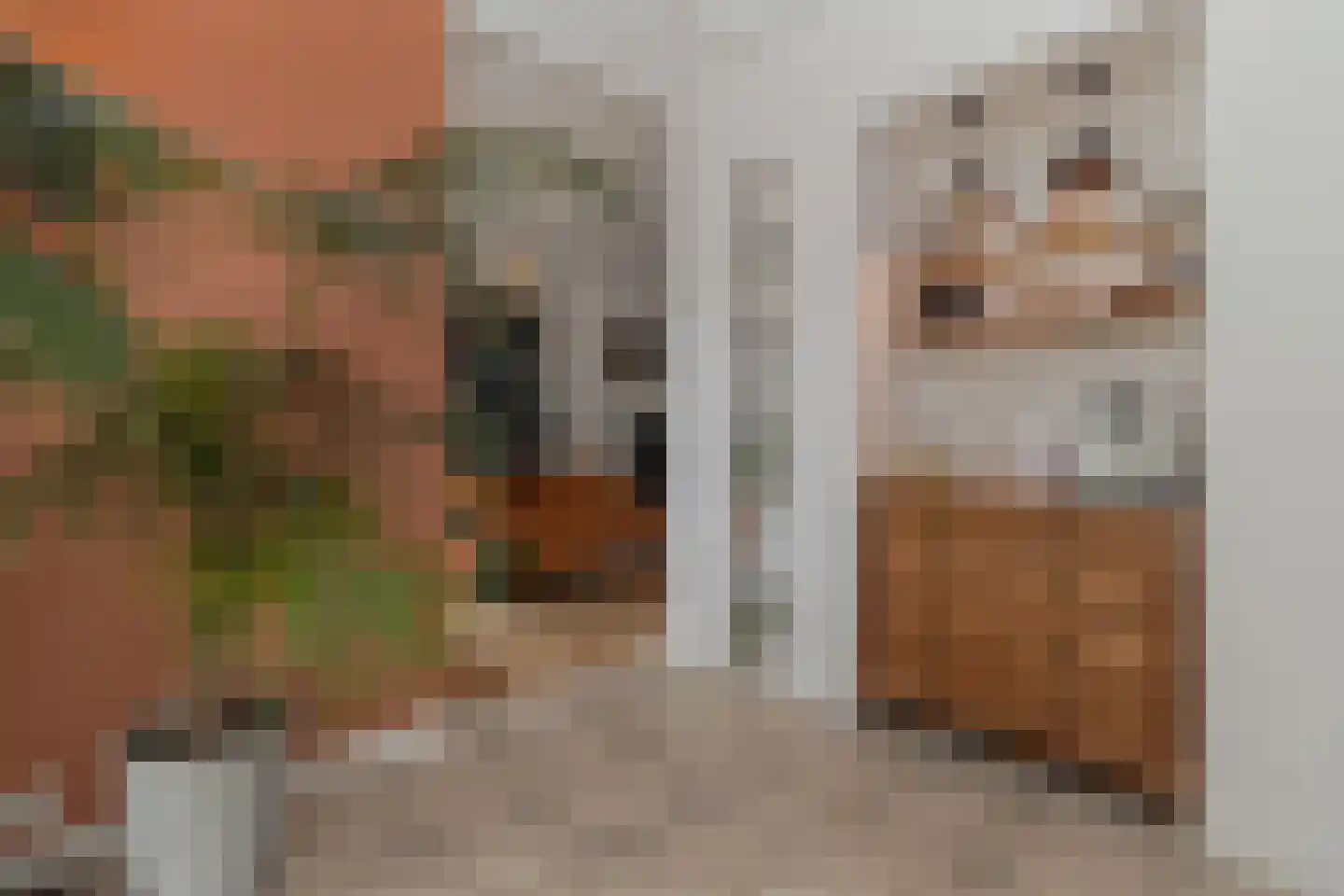 Markt 18 Nieuwstadt thumbnail 27