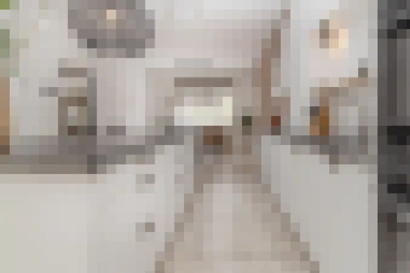 Markt 18 Nieuwstadt thumbnail 31