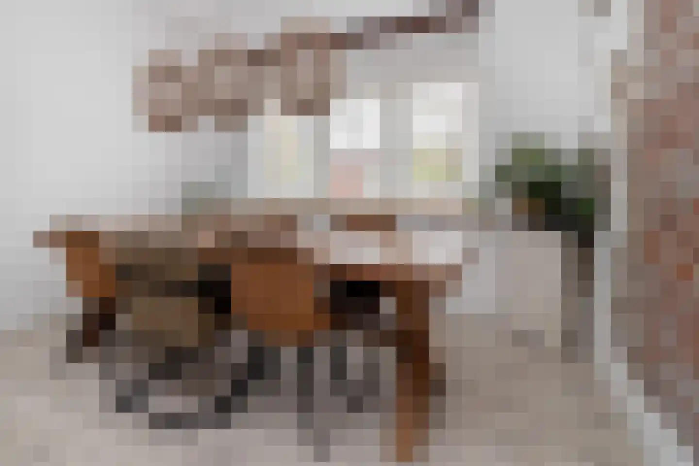 Markt 18 Nieuwstadt thumbnail 34