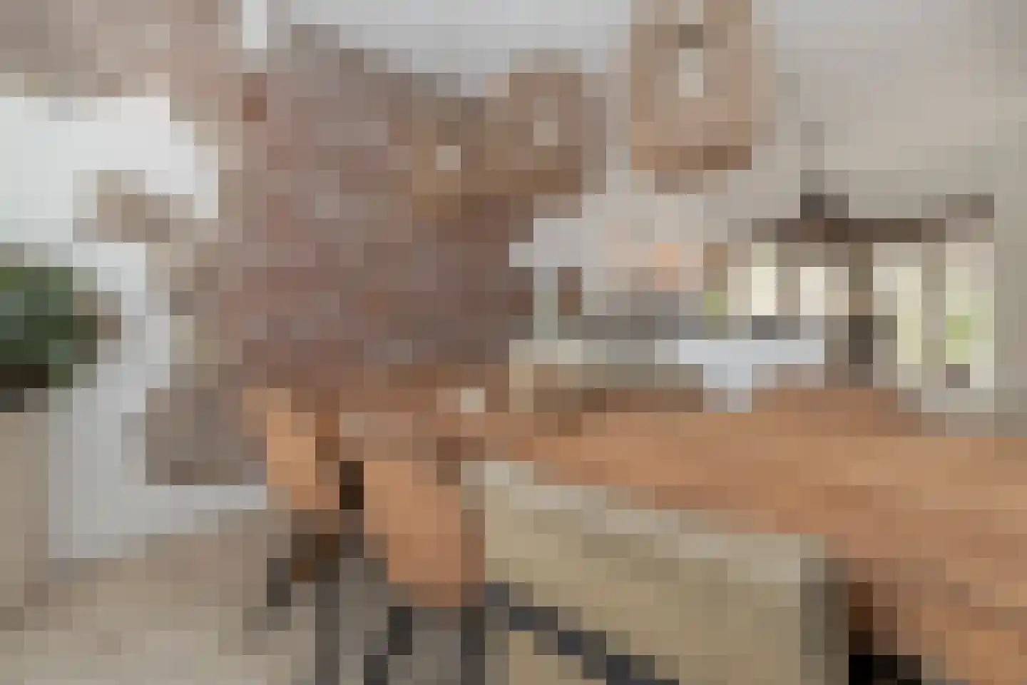 Markt 18 Nieuwstadt thumbnail 35