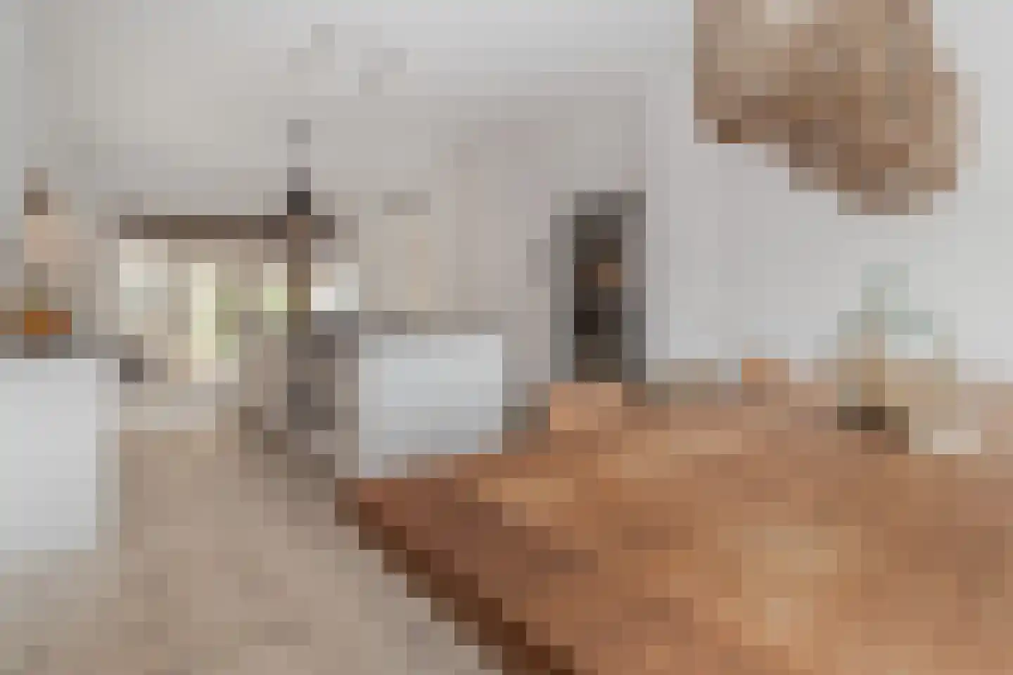 Markt 18 Nieuwstadt thumbnail 36