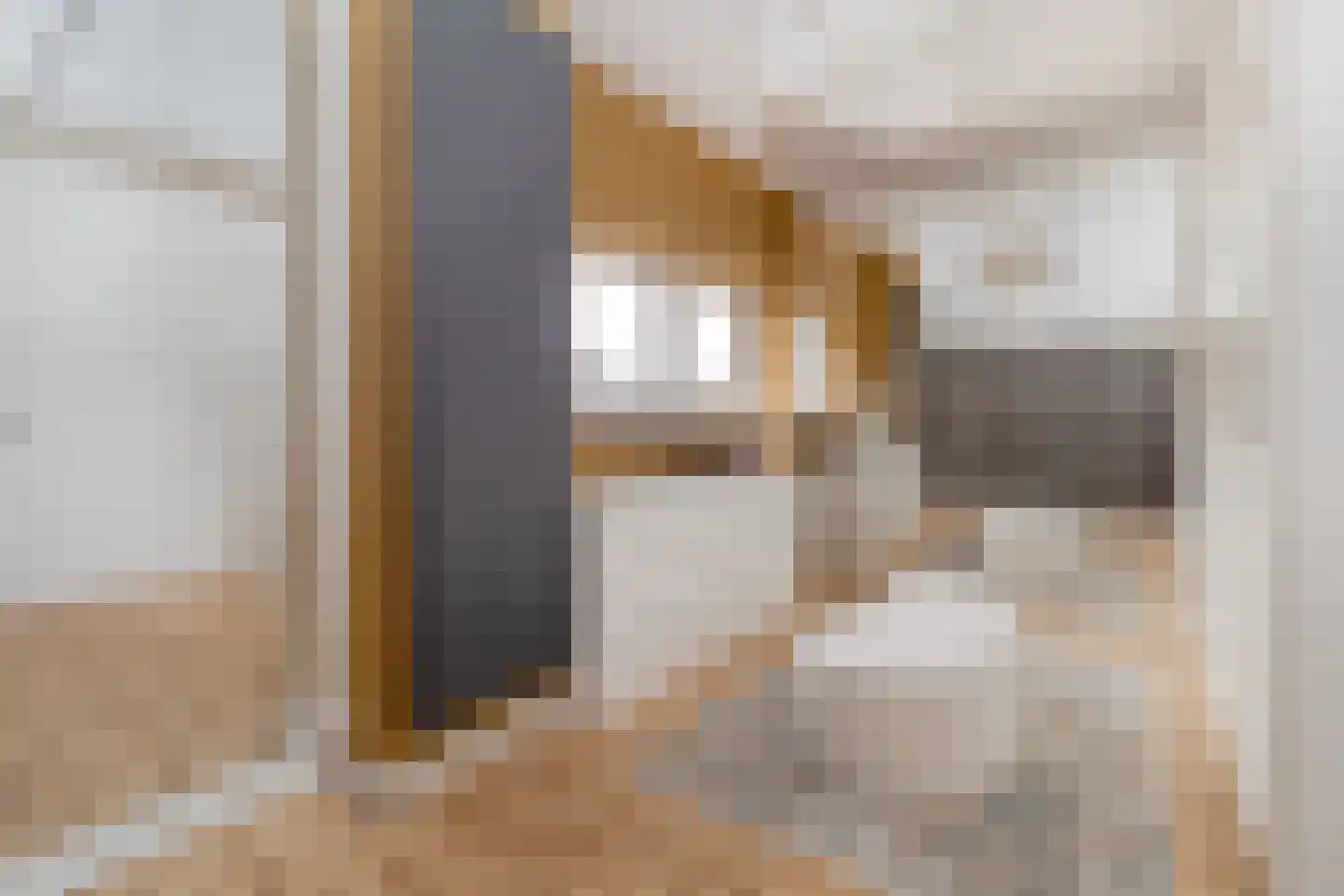 Markt 18 Nieuwstadt thumbnail 47