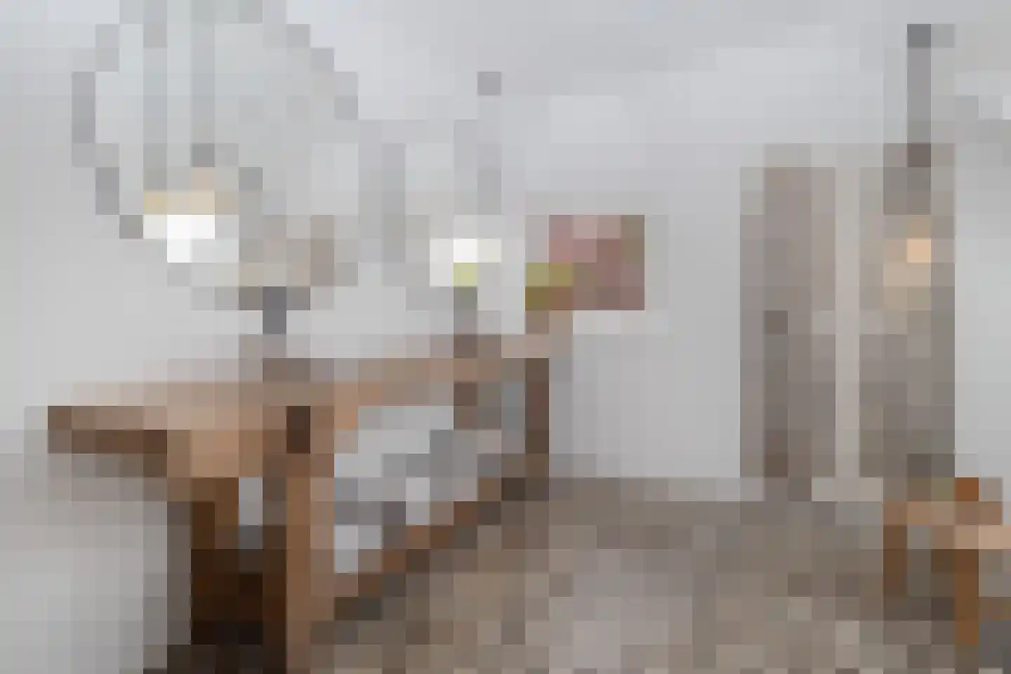 Markt 18 Nieuwstadt thumbnail 52