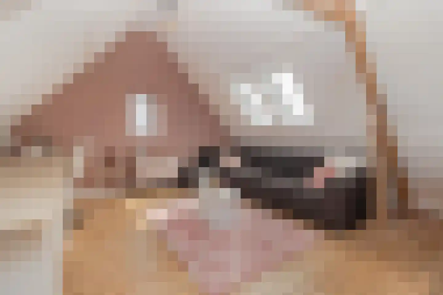 Markt 18 Nieuwstadt thumbnail 55