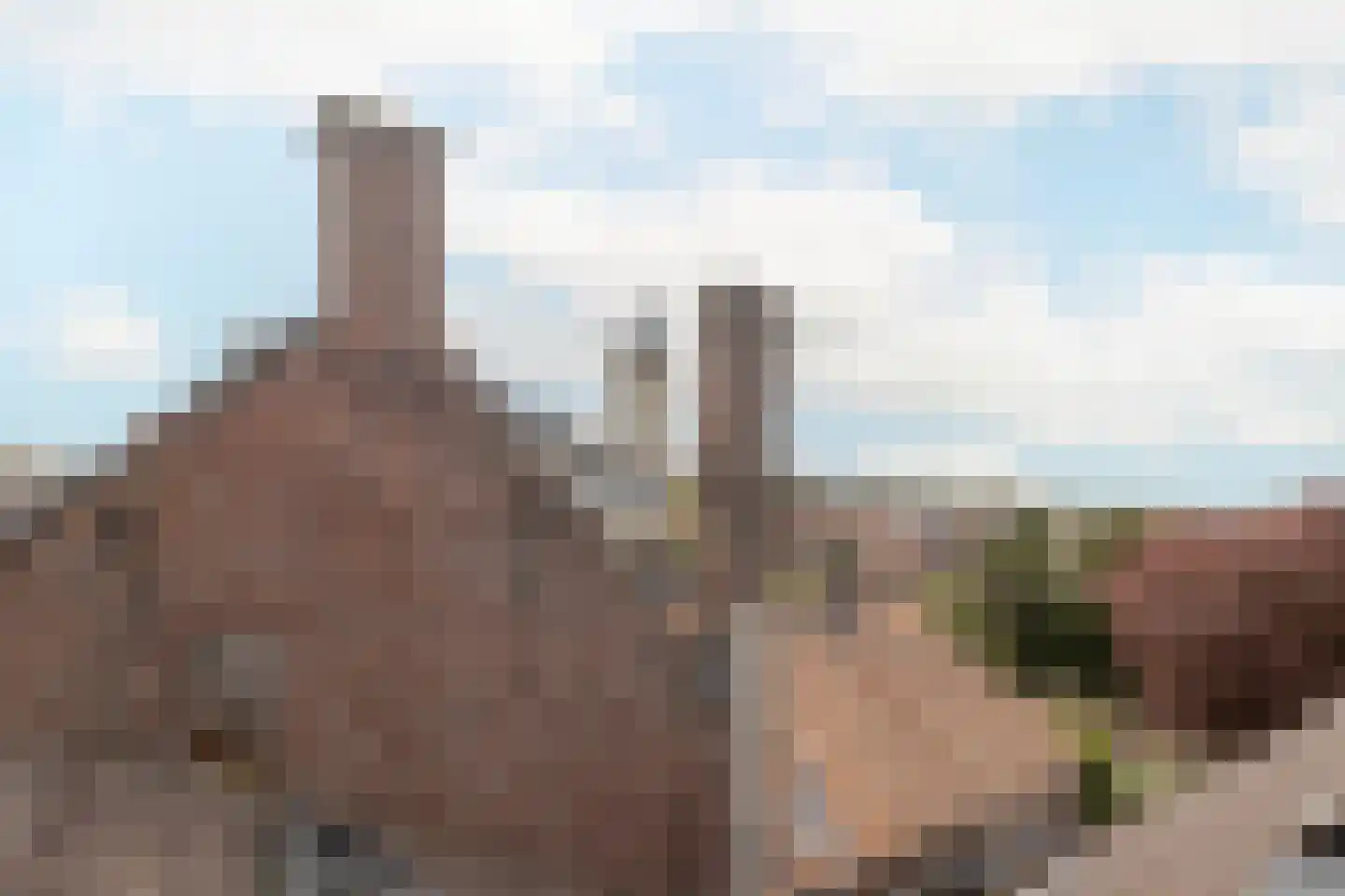 Markt 18 Nieuwstadt thumbnail 57