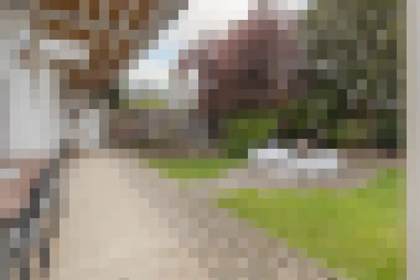 Markt 18 Nieuwstadt thumbnail 81