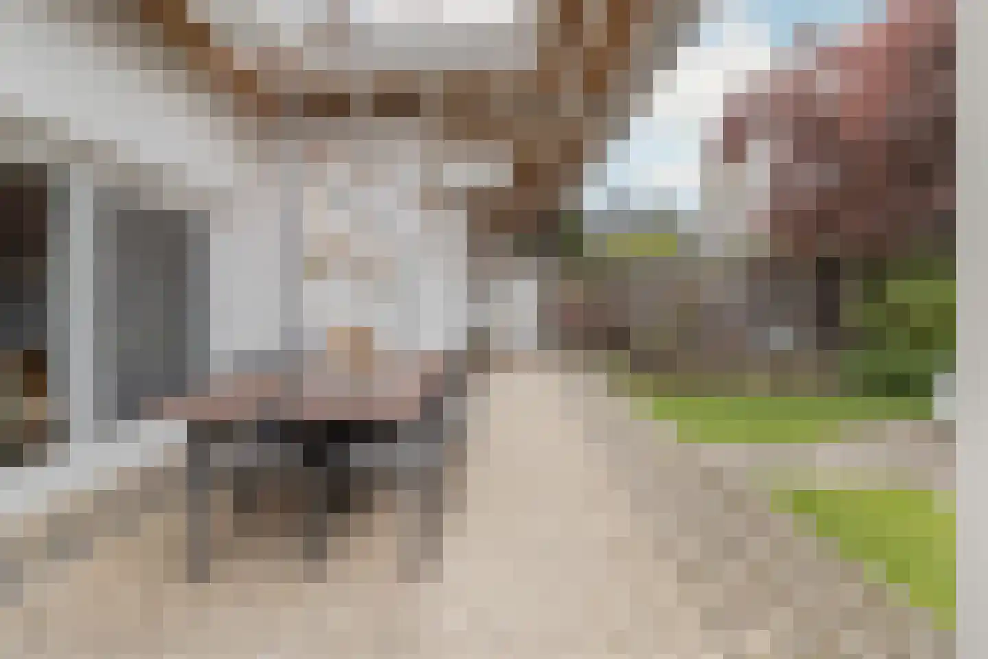 Markt 18 Nieuwstadt thumbnail 82