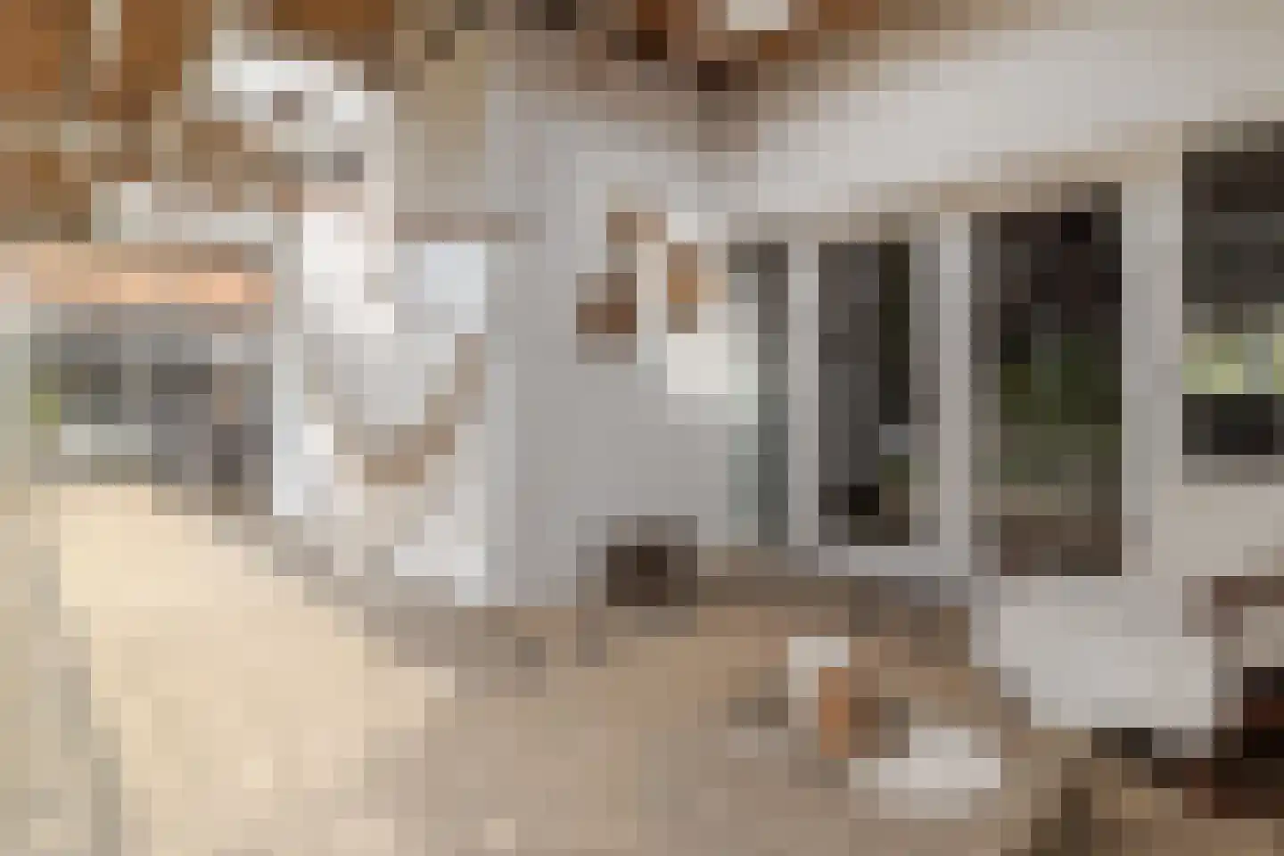 Markt 18 Nieuwstadt thumbnail 84