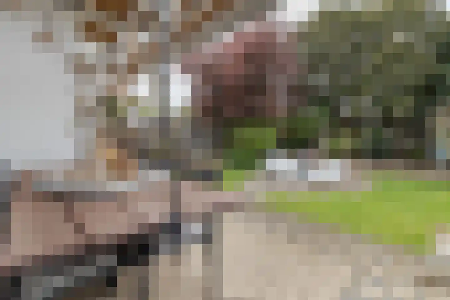 Markt 18 Nieuwstadt thumbnail 85