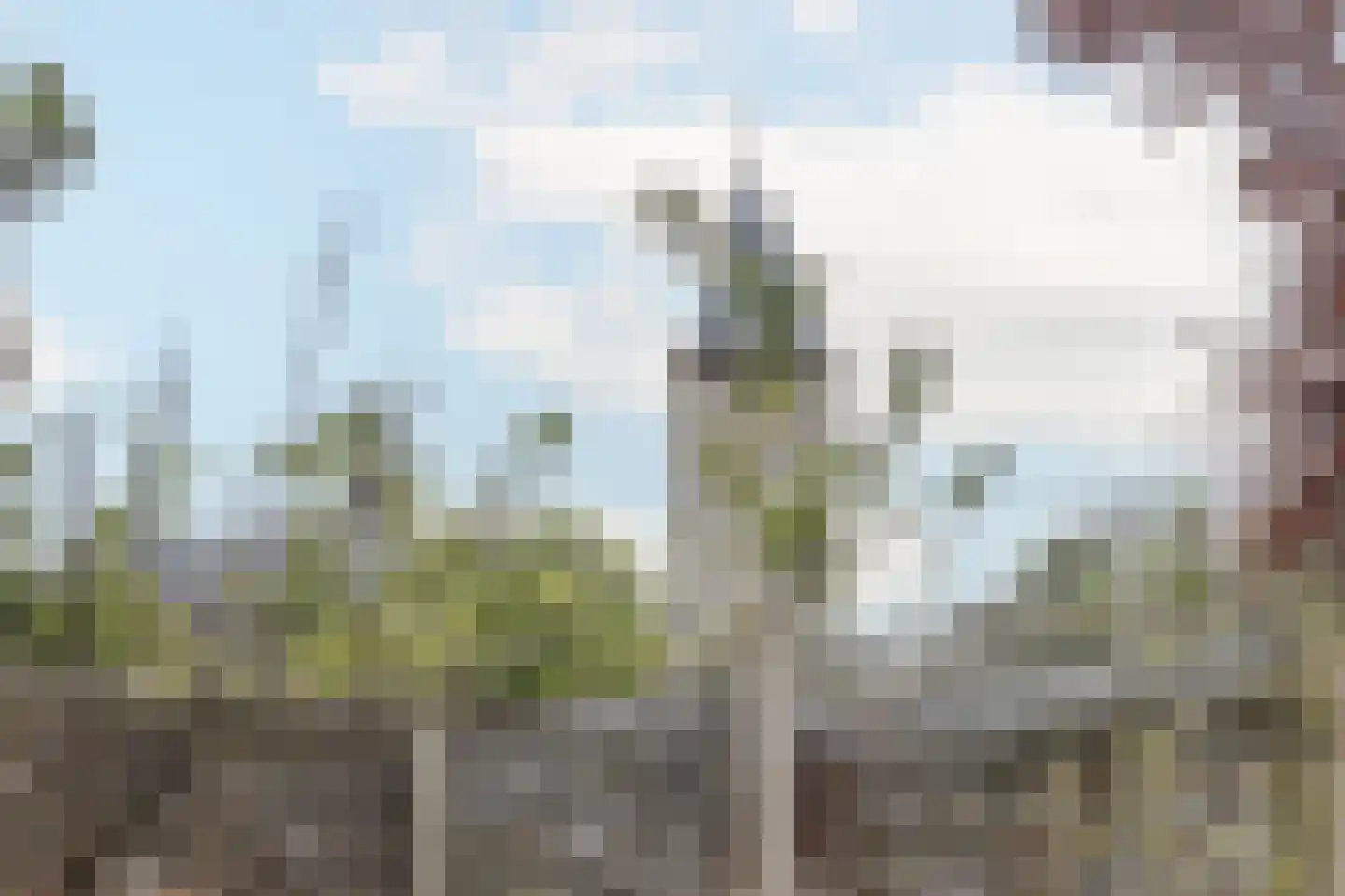 Markt 18 Nieuwstadt thumbnail 87