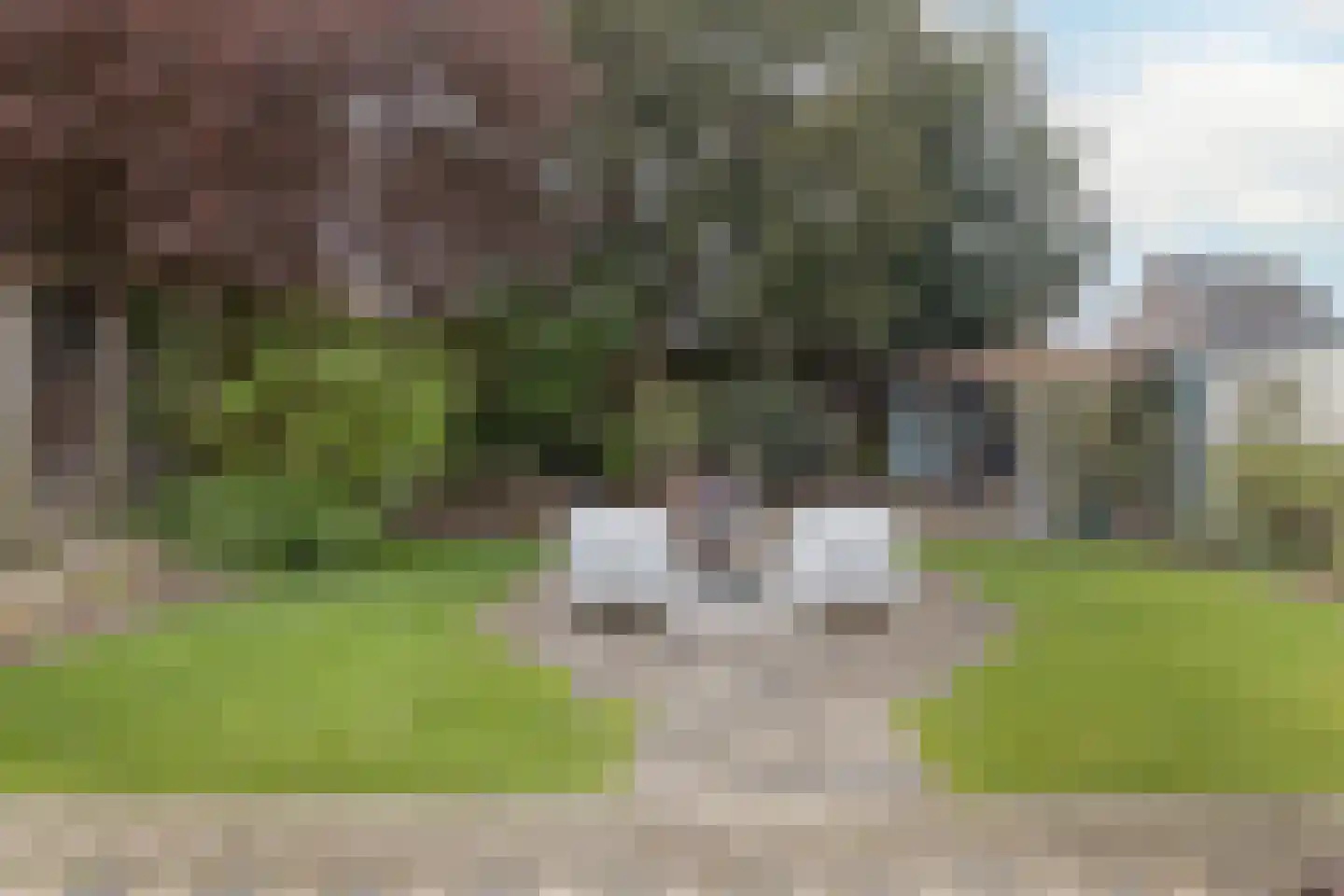 Markt 18 Nieuwstadt thumbnail 88
