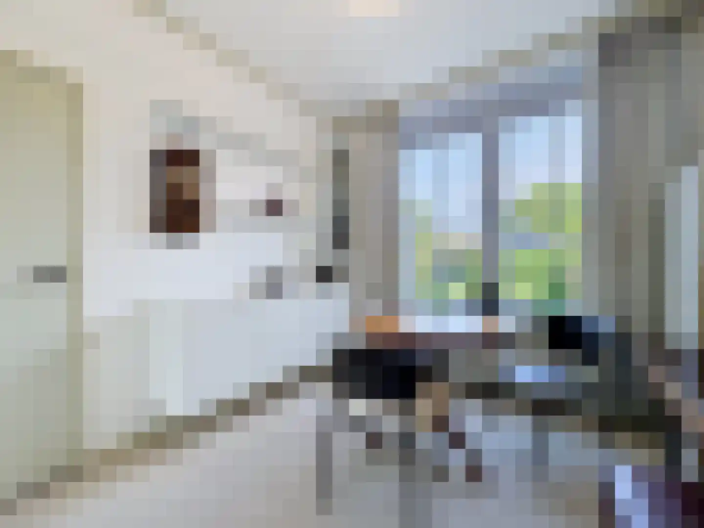 Markt 18 Retranchement thumbnail 15