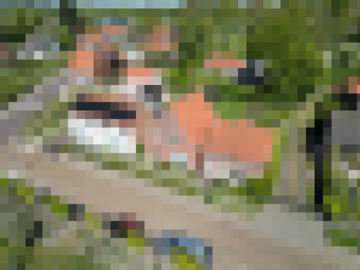 Markt 18 Retranchement thumbnail 4