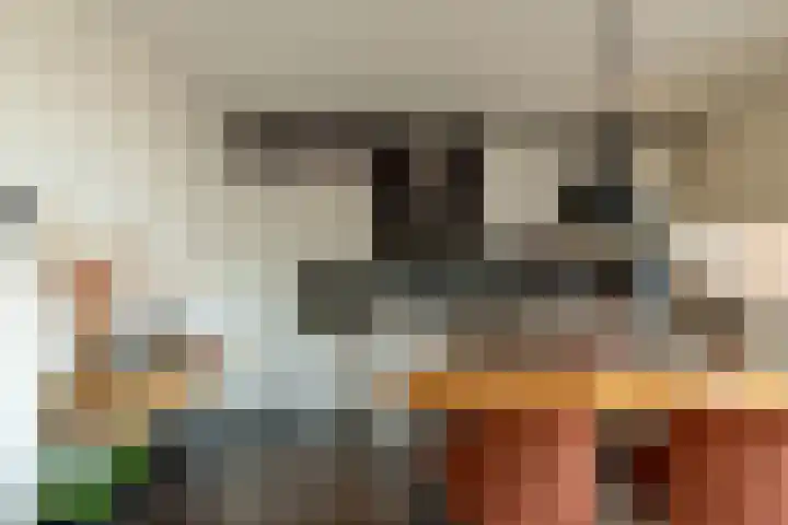 Markt 18 Silvolde thumbnail 21