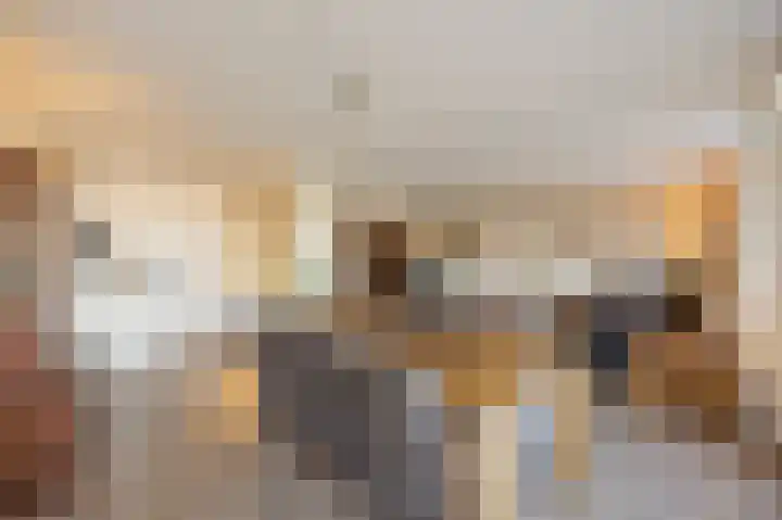 Markt 19 Maasbracht thumbnail 8