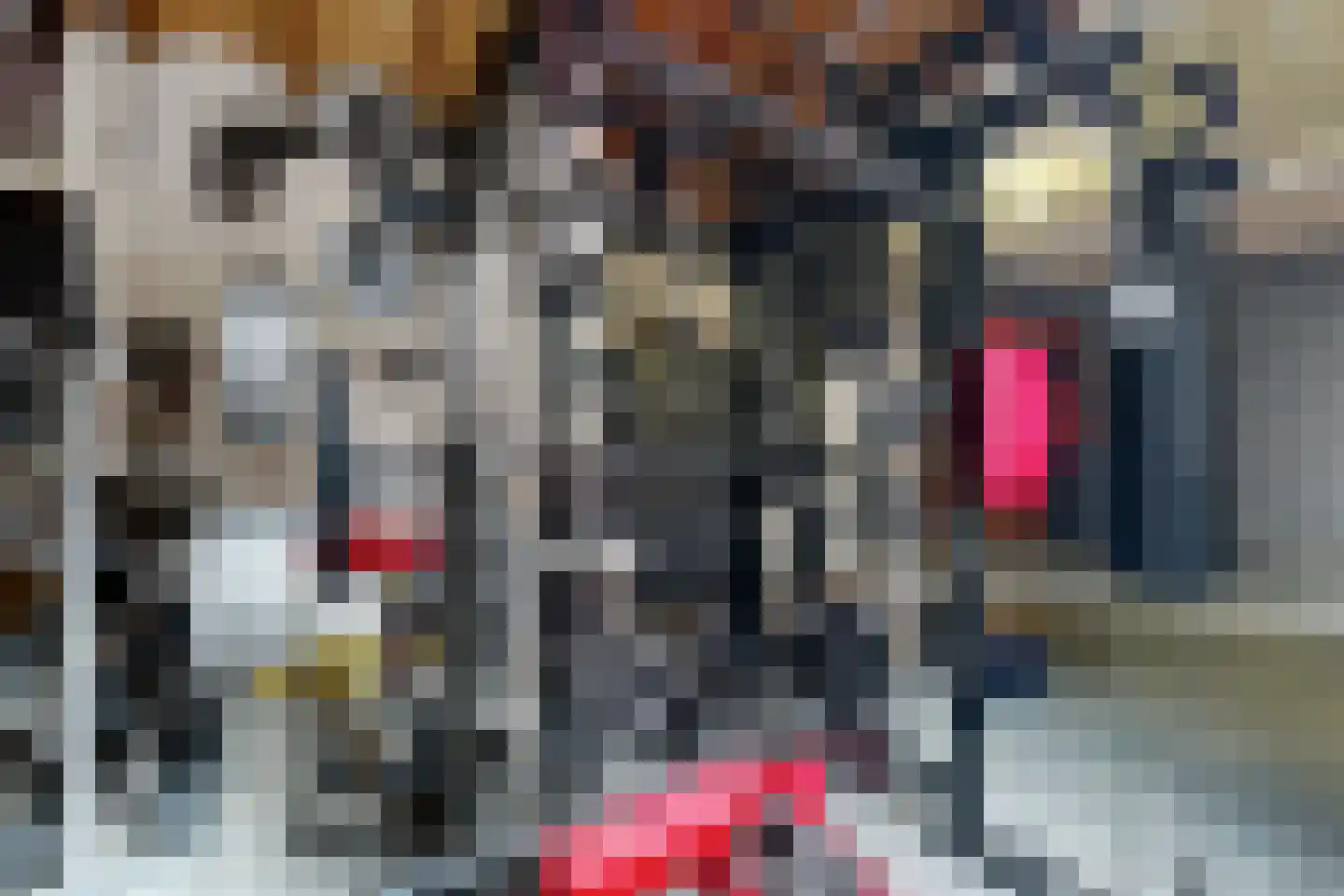Markt 2 Standdaarbuiten thumbnail 101