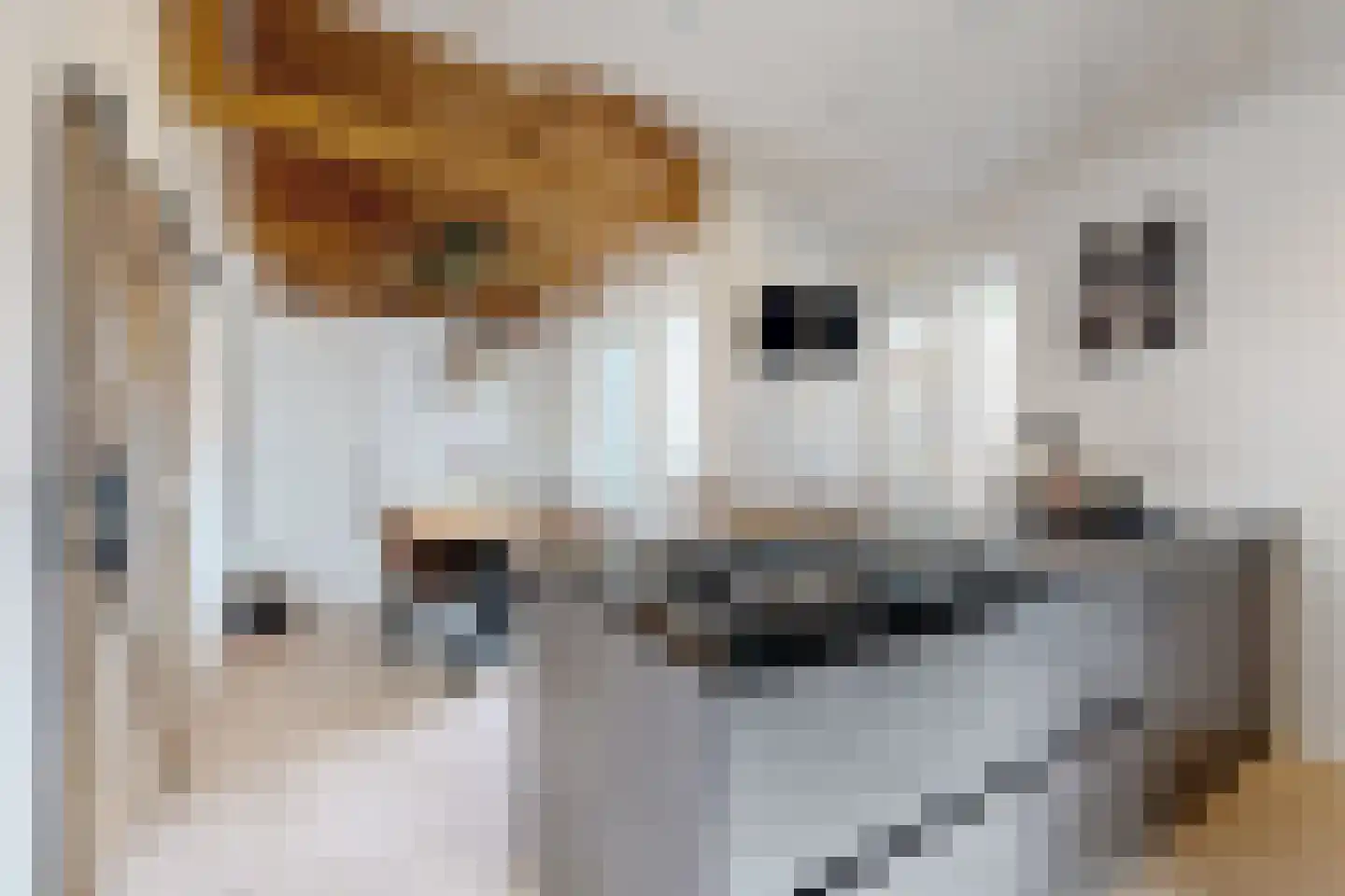 Markt 2 Standdaarbuiten thumbnail 39