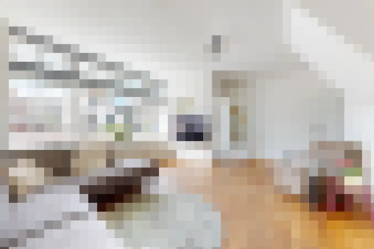 Markt 2 Standdaarbuiten thumbnail 4