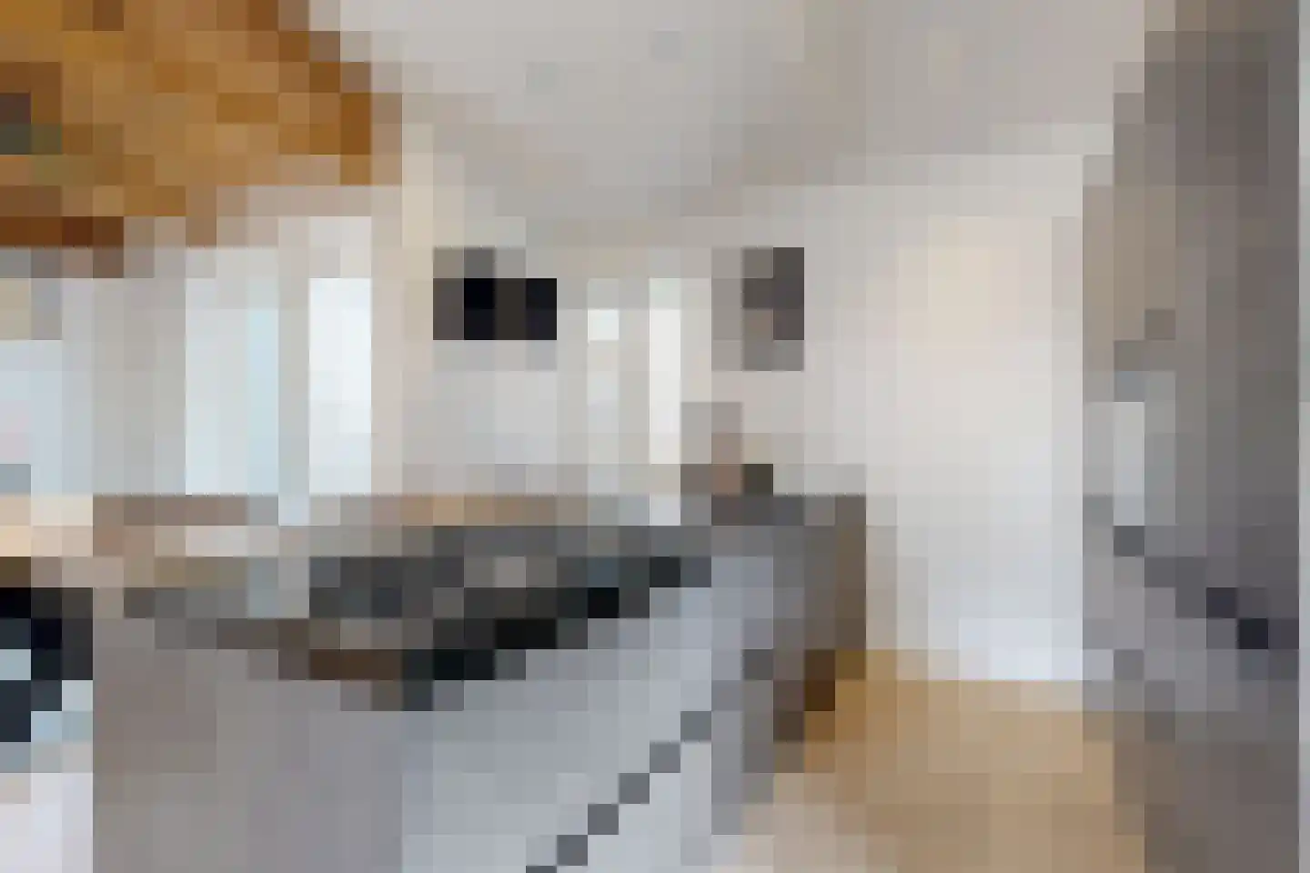 Markt 2 Standdaarbuiten thumbnail 41