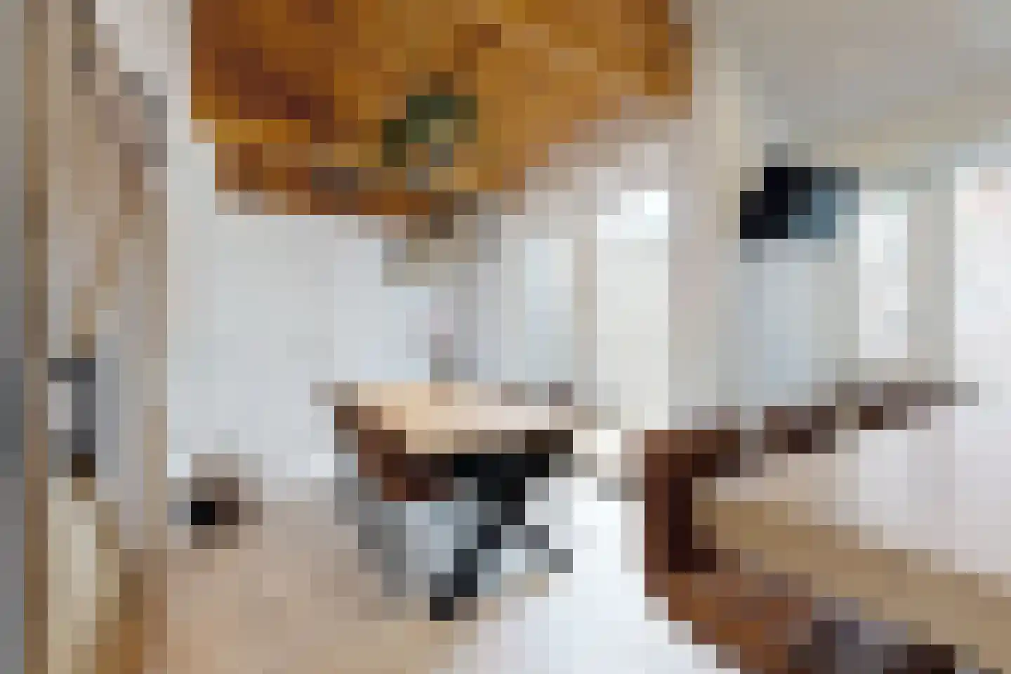 Markt 2 Standdaarbuiten thumbnail 56