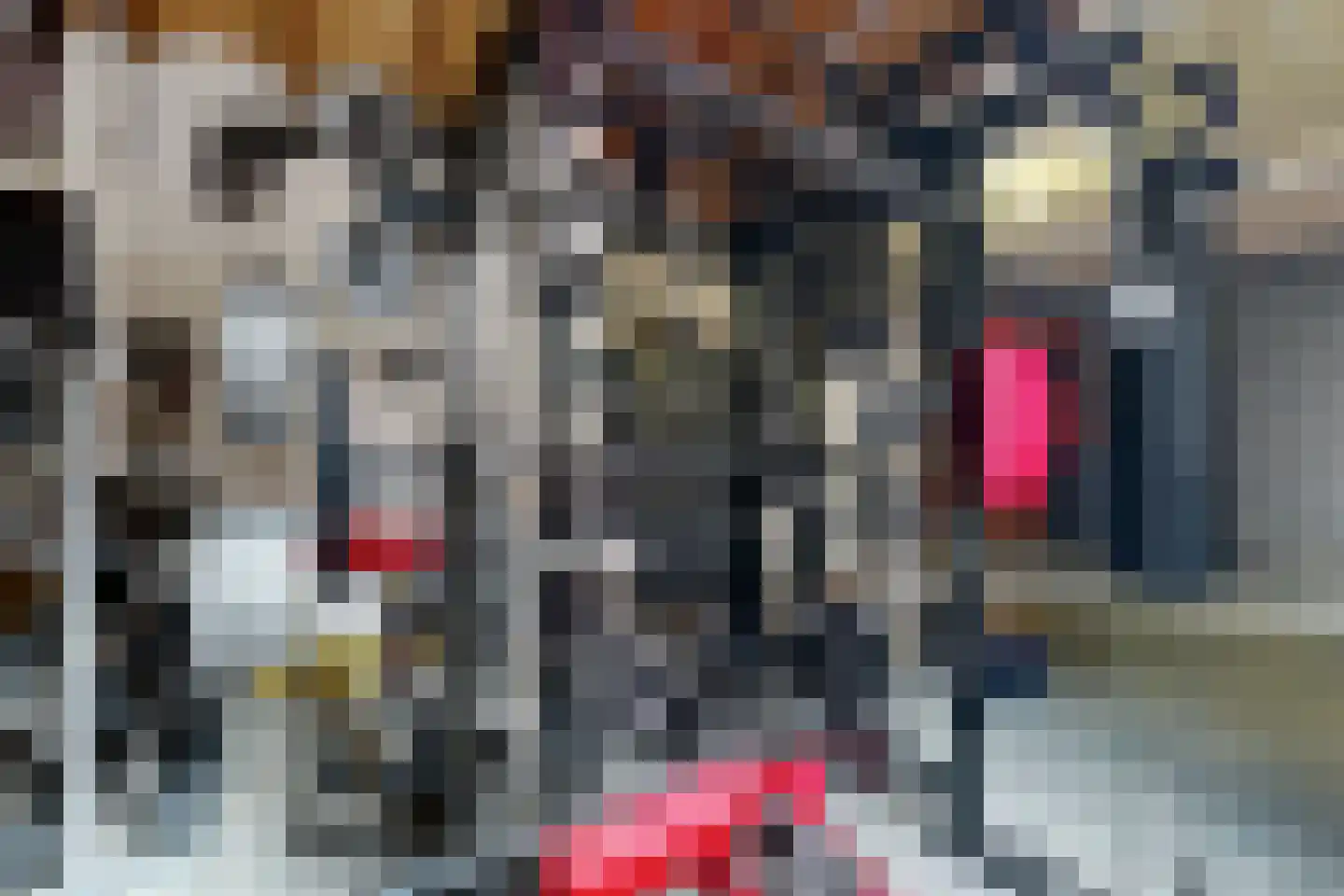 Markt 2 Standdaarbuiten thumbnail 63