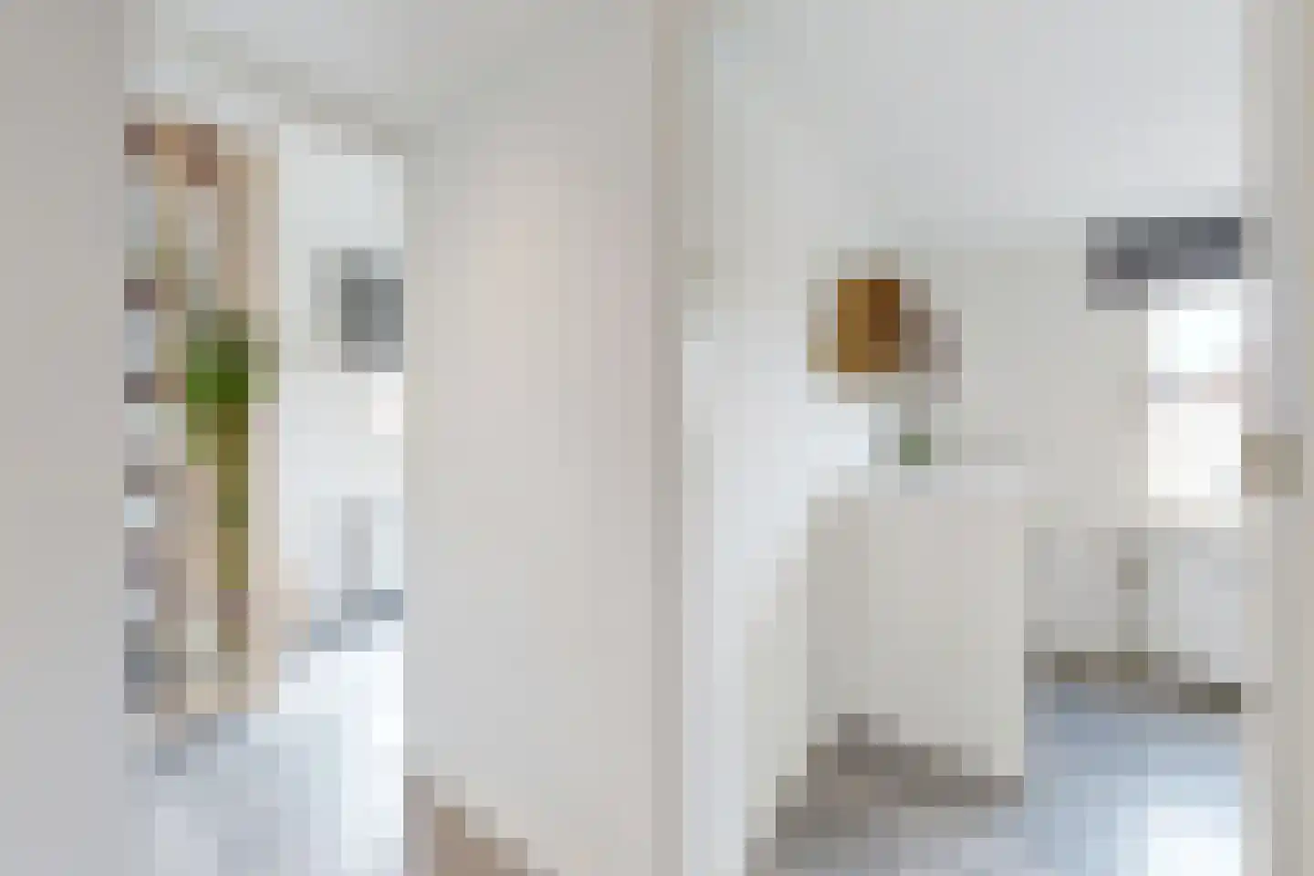 Markt 2 Standdaarbuiten thumbnail 70