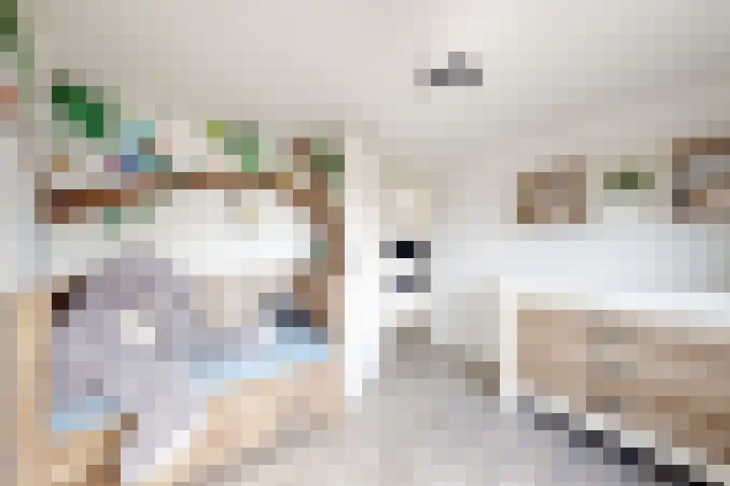 Markt 2 Standdaarbuiten thumbnail 82
