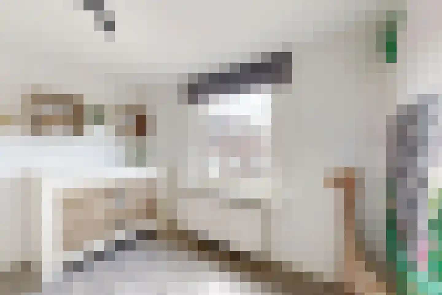 Markt 2 Standdaarbuiten thumbnail 83
