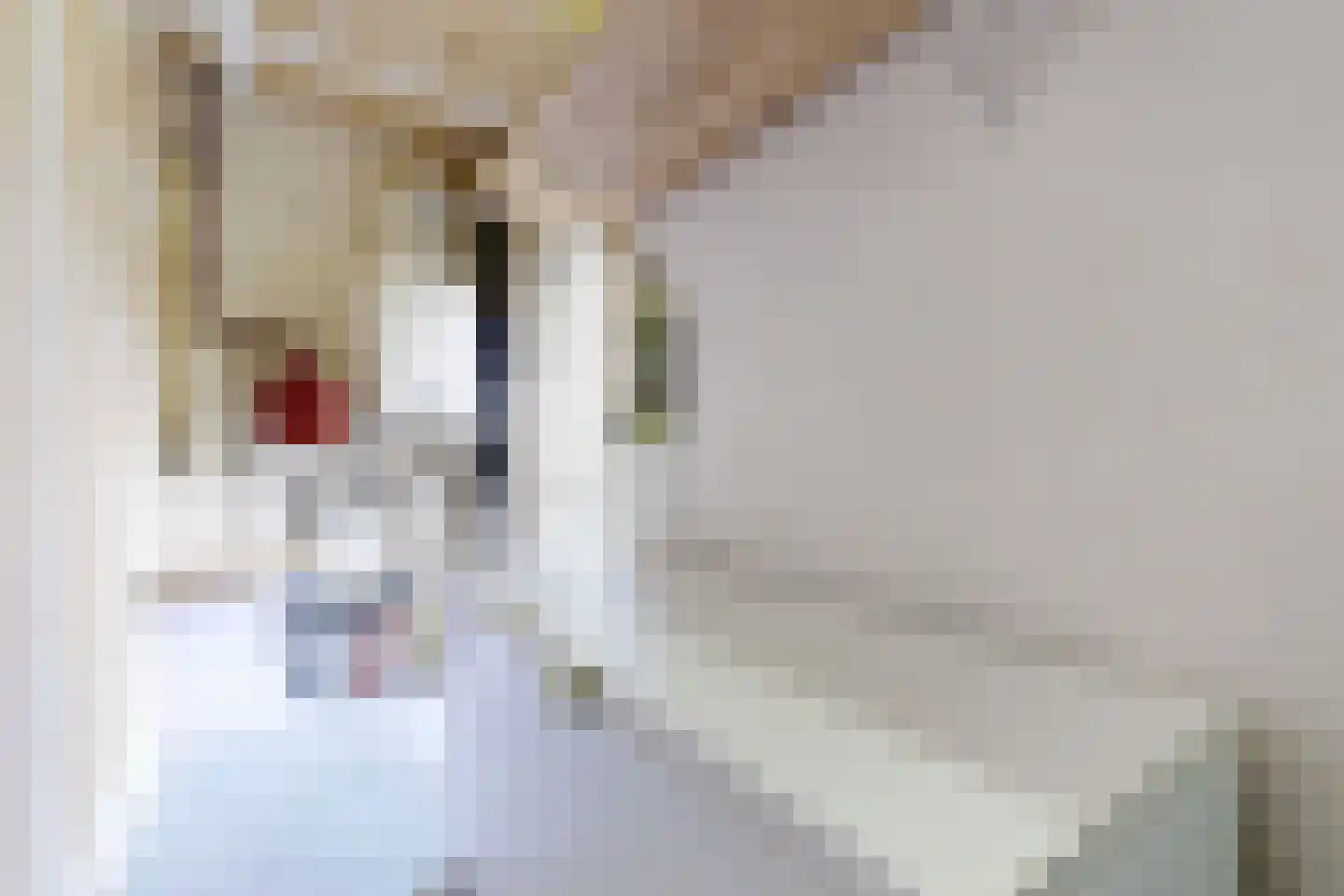 Markt 2 Standdaarbuiten thumbnail 98