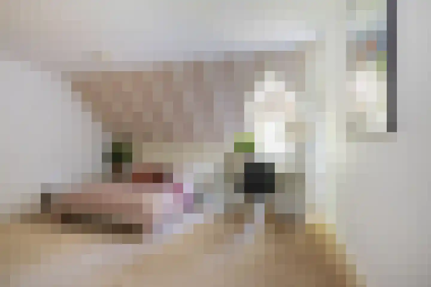 Markt 2 Waalre thumbnail 24