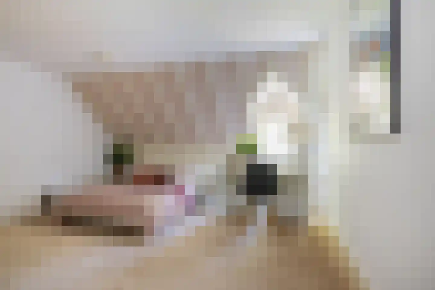 Markt 2 Waalre thumbnail 4