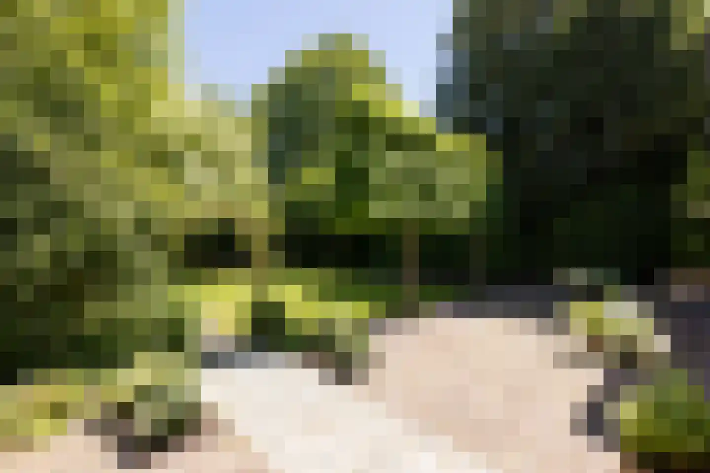 Markt 2 Waalre thumbnail 41