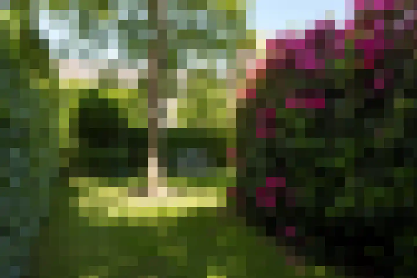Markt 2 Waalre thumbnail 44