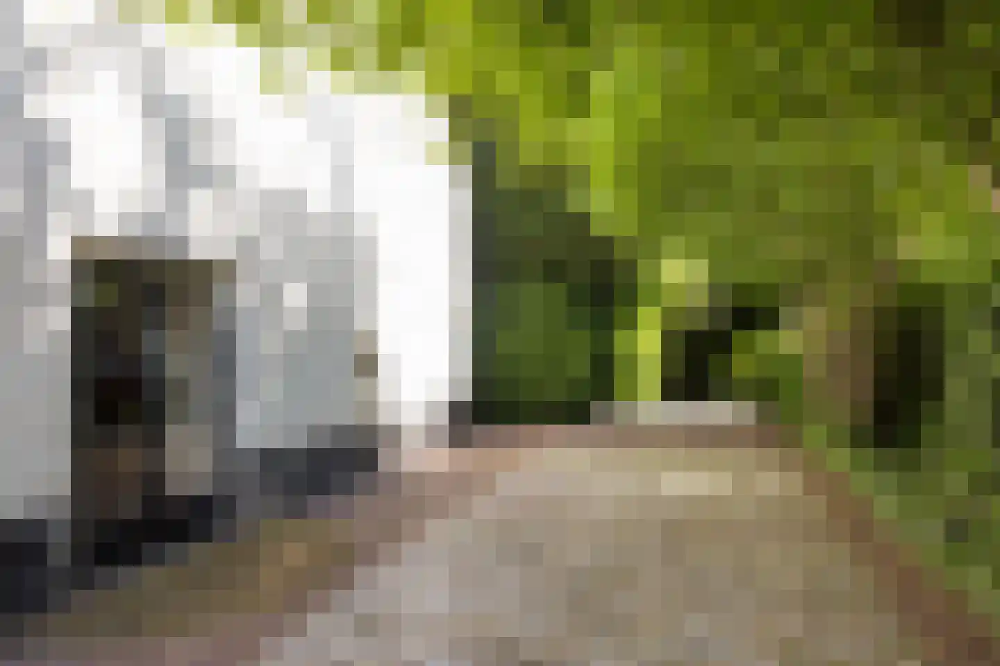 Markt 2 Waalre thumbnail 46