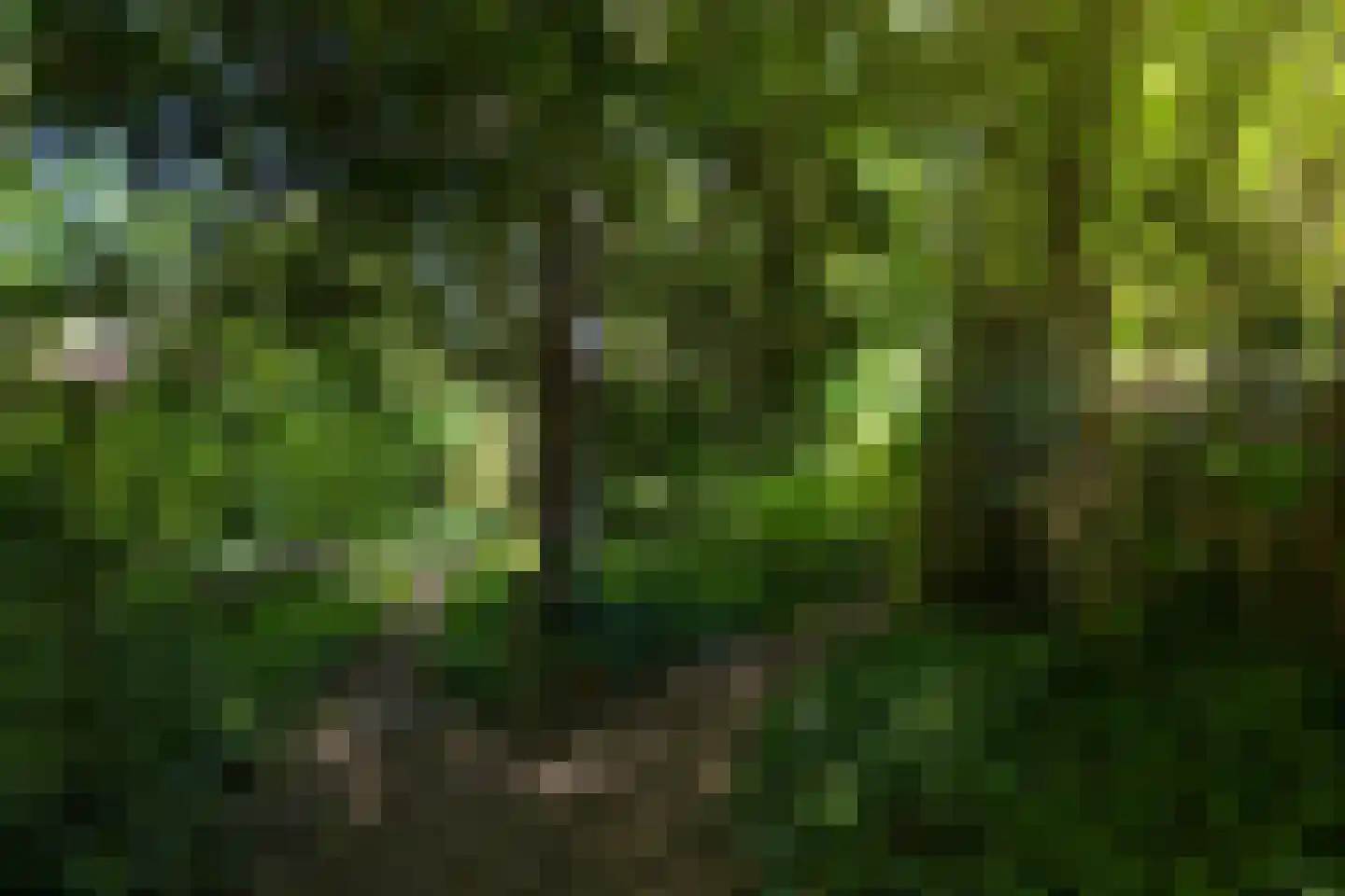 Markt 2 Waalre thumbnail 47