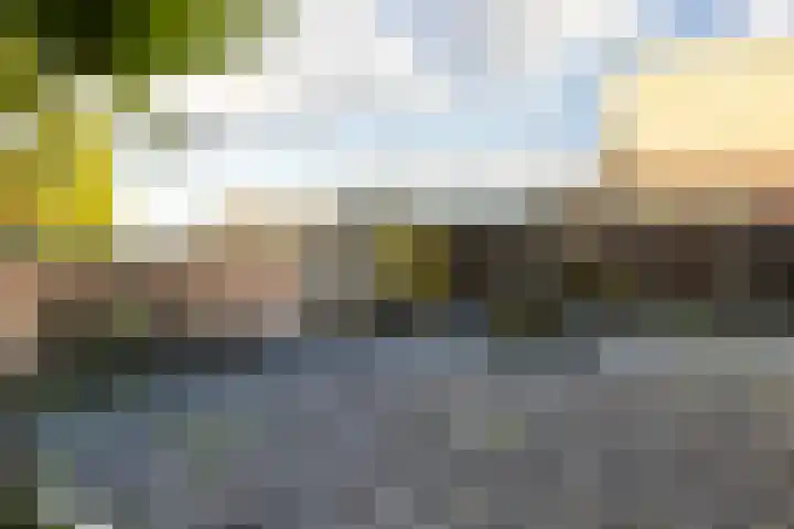 Markt 20 a Zundert thumbnail 35