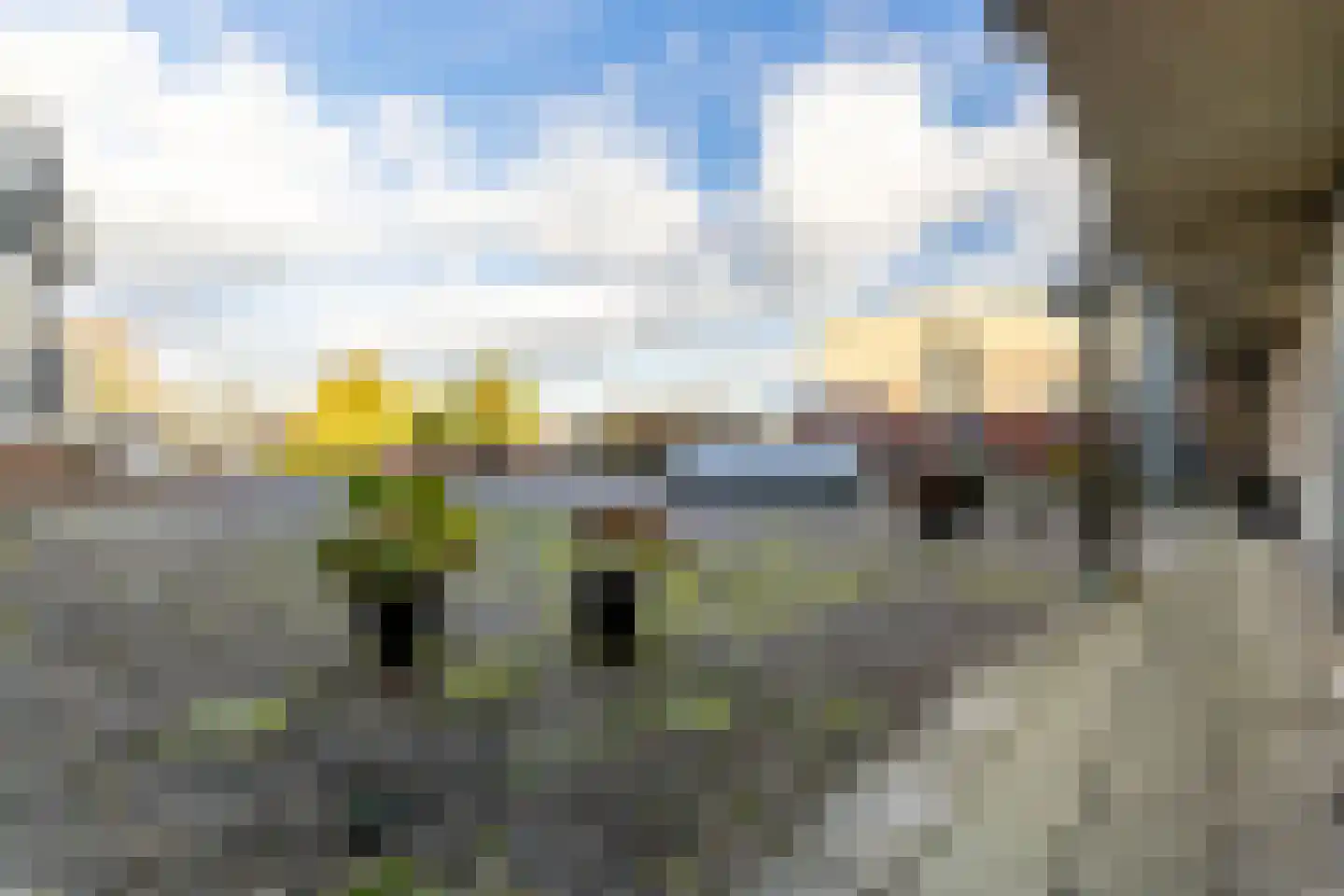 Markt 20 a Zundert thumbnail 36