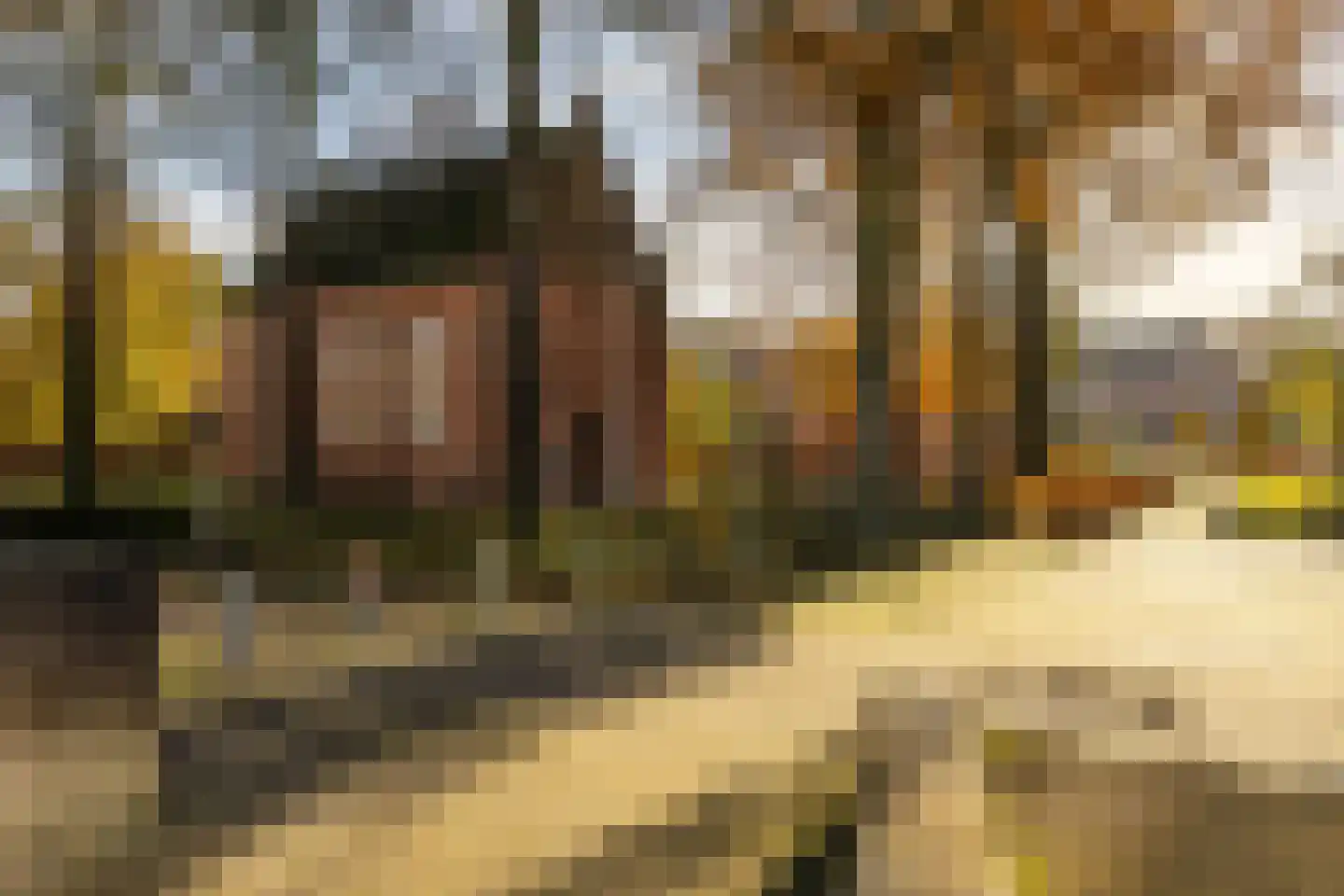 Markt 20 a Zundert thumbnail 45