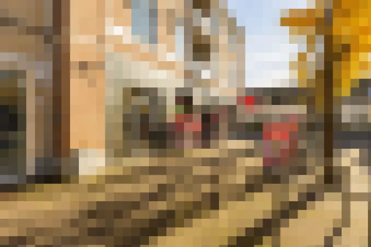 Markt 20 a Zundert thumbnail 7