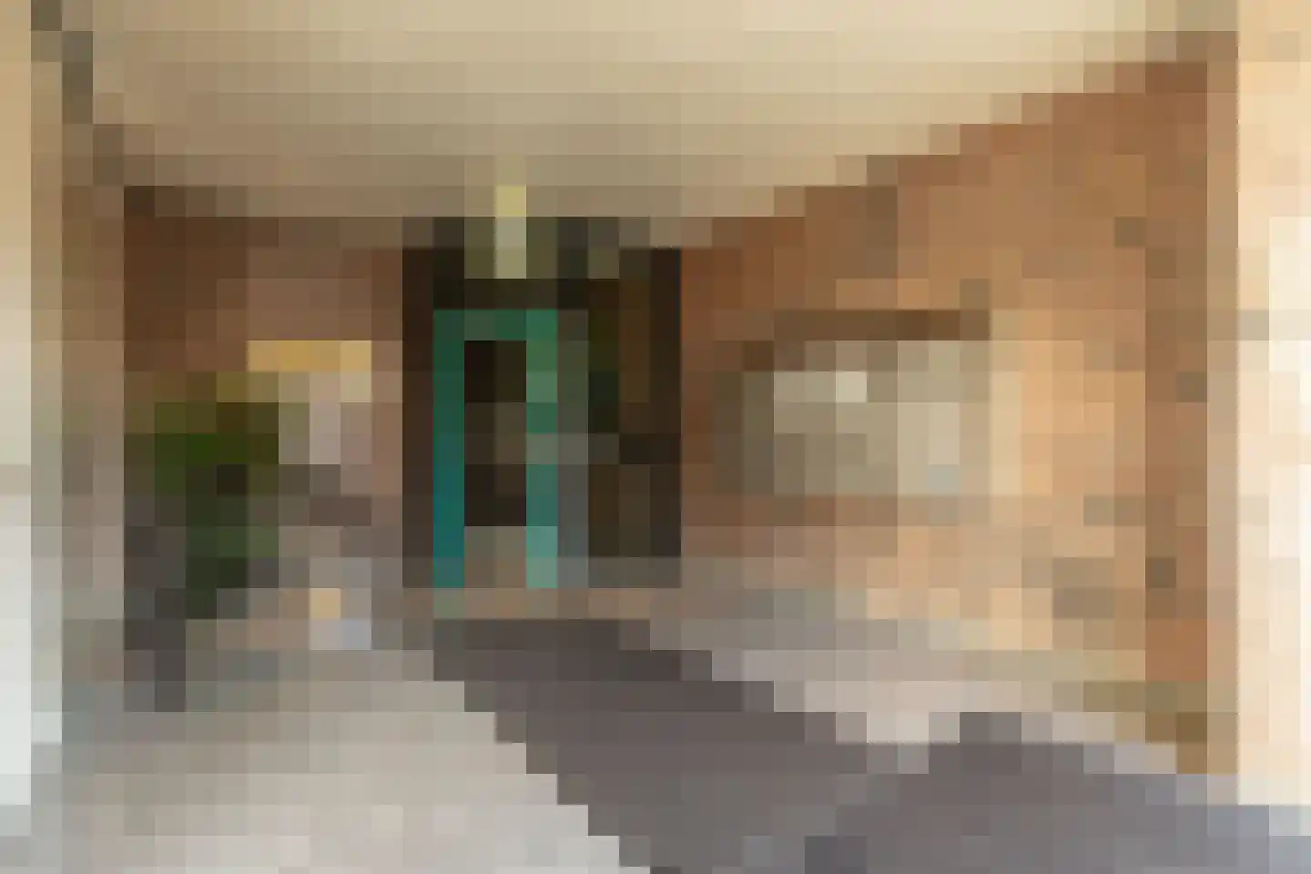 Markt 20 a Zundert thumbnail 9